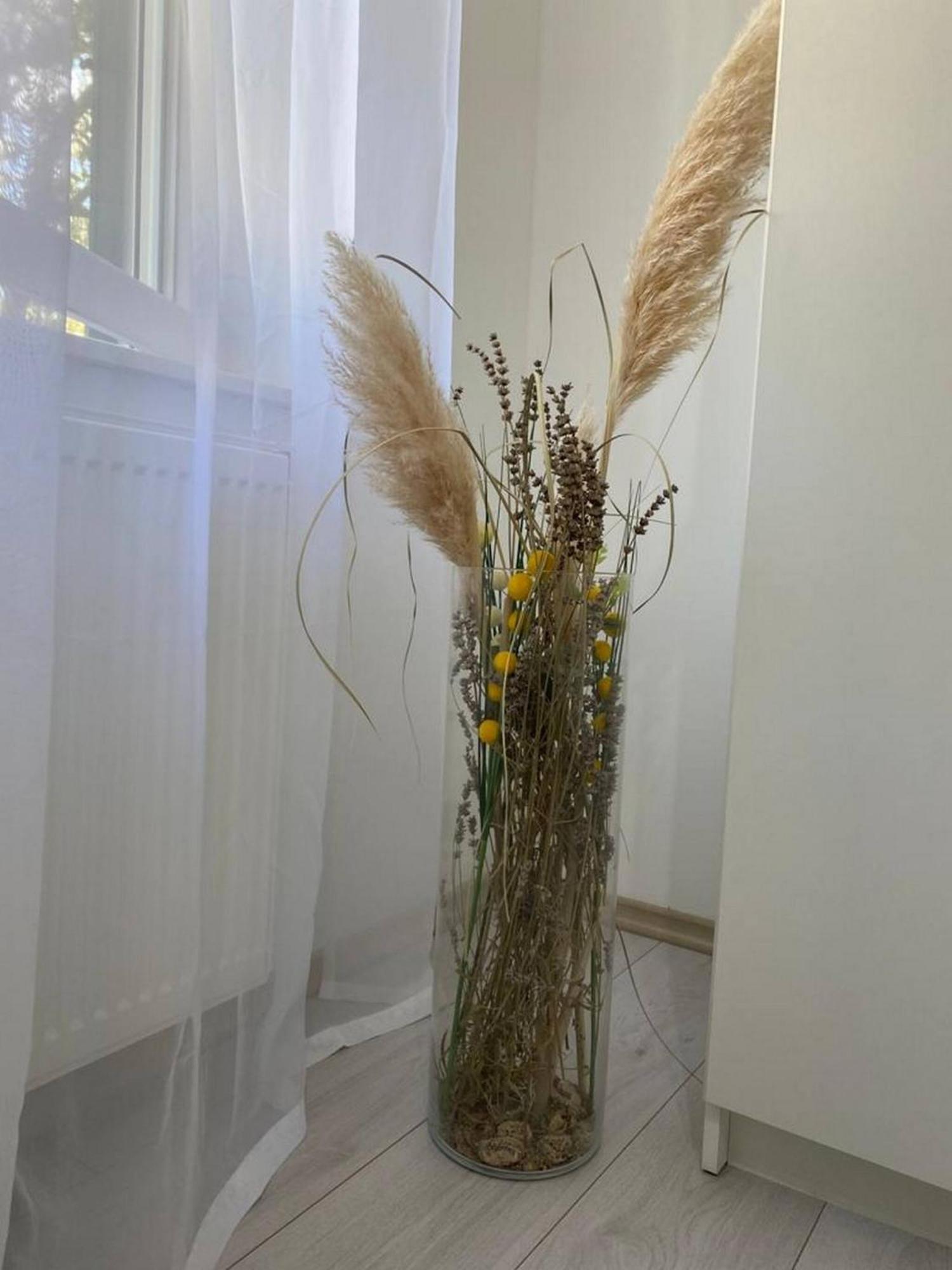 Rural Apartment Ante Drniš Dış mekan fotoğraf