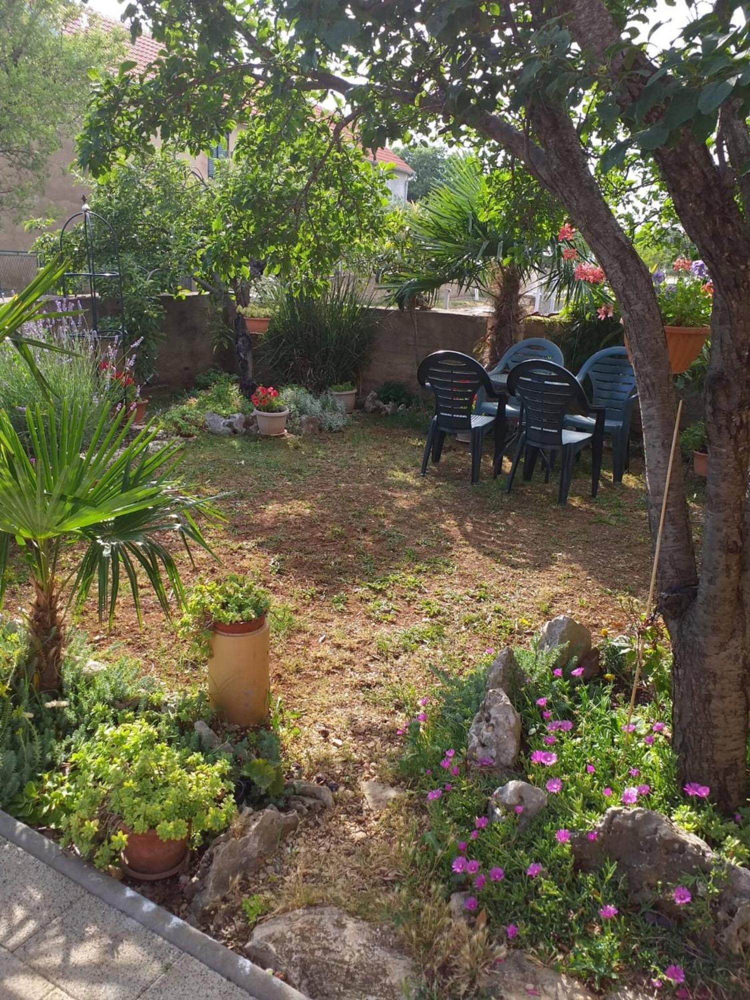Rural Apartment Ante Drniš Dış mekan fotoğraf