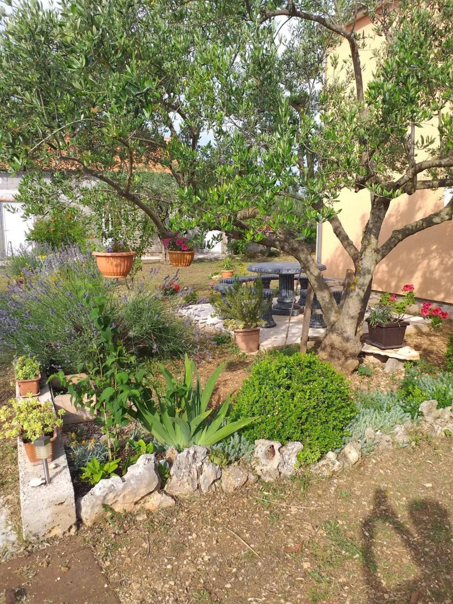 Rural Apartment Ante Drniš Dış mekan fotoğraf